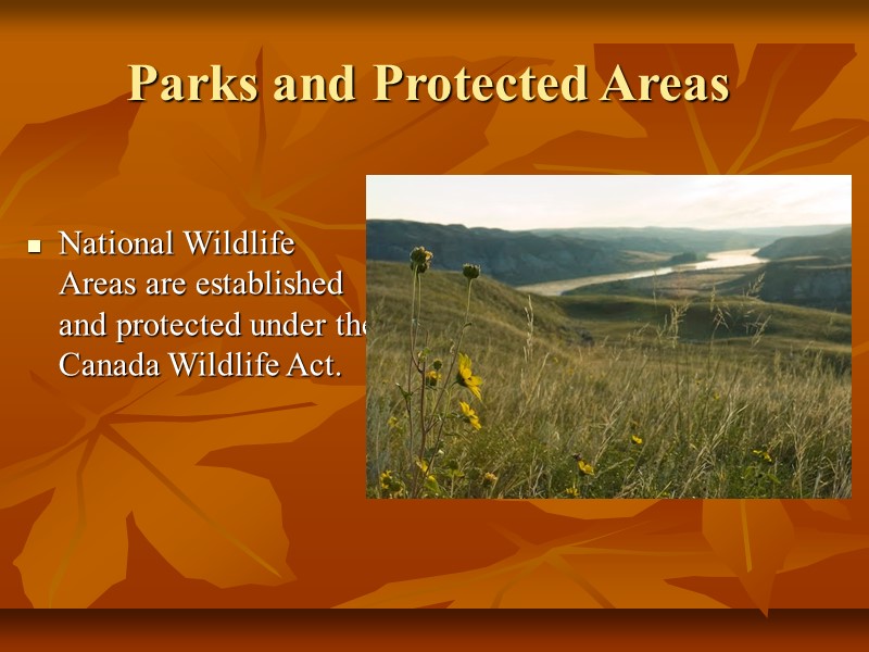 Parks and Protected Areas   National Wildlife Areas are established and protected under